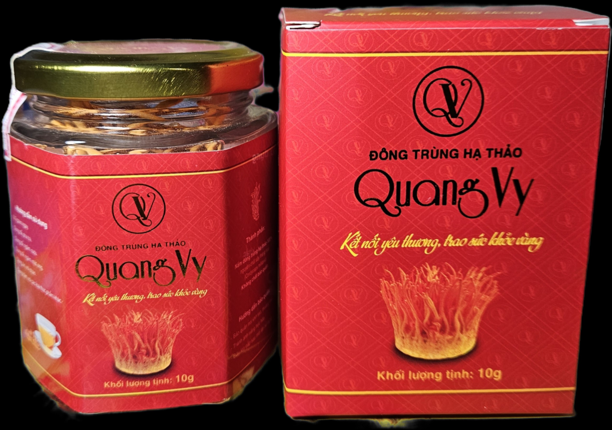 Nấm đông trùng hạ thảo Quang Vy (loại loại 1) - Image 2